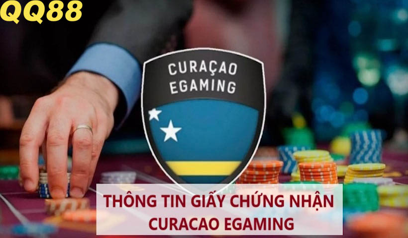 Giới thiệu QQ88 cùng sự hợp tác với Curacao